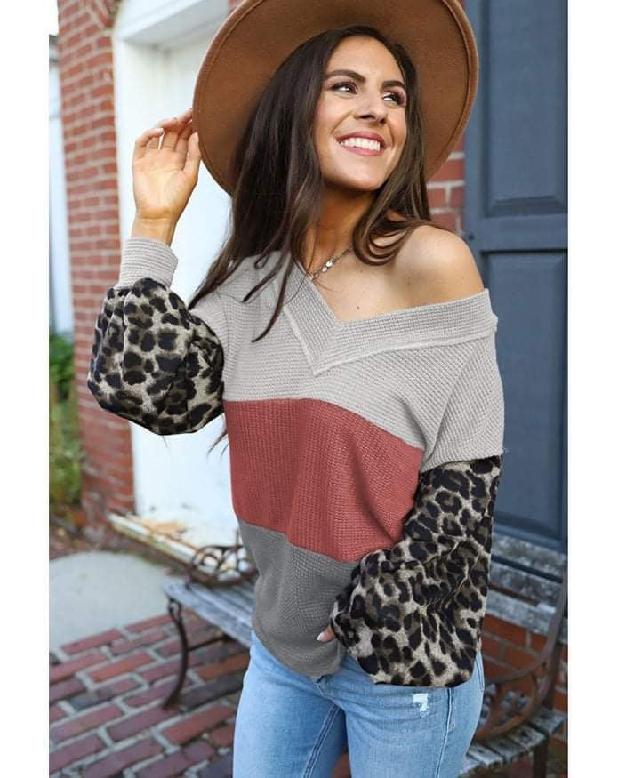 PREORDER Leopard Sleeve Fall Top